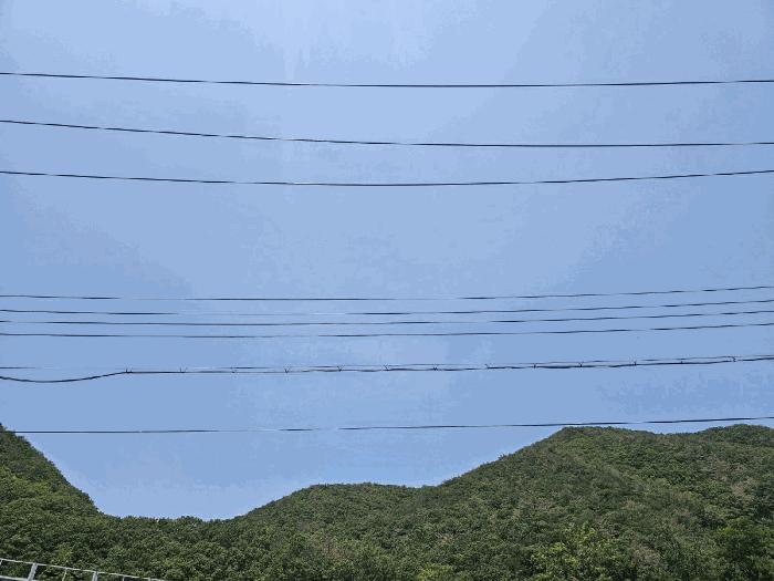 법원경매 2025타경3833 사진2 | 포항시 남구 장기면 대곡리 임야 경매