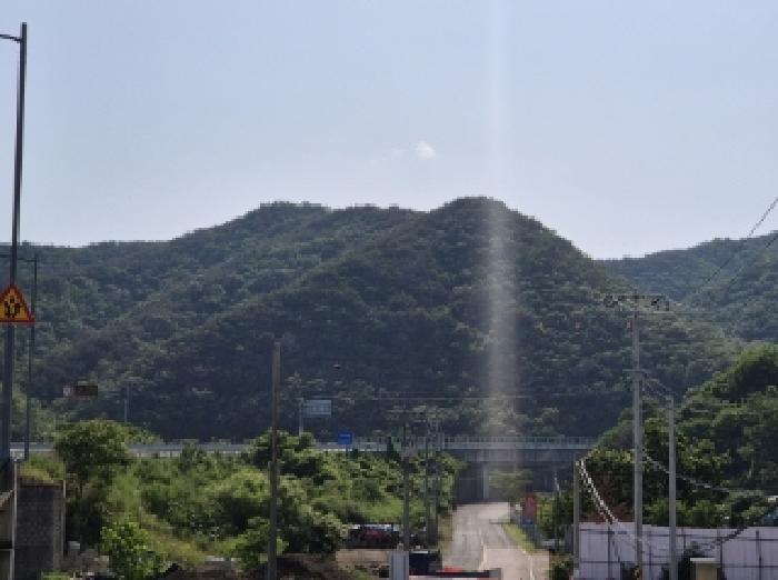 법원경매 2025타경3833 사진3 | 포항시 남구 장기면 대곡리 임야 경매
