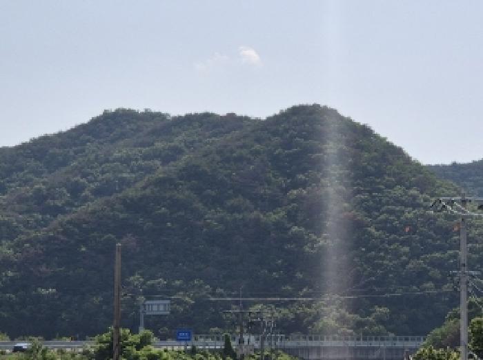 법원경매 2025타경3833 사진4 | 포항시 남구 장기면 대곡리 임야 경매