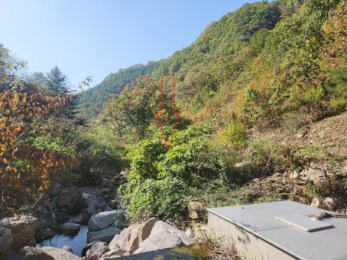 2024타경39484 법원경매 사진2 | 전북 무주군 답 경매