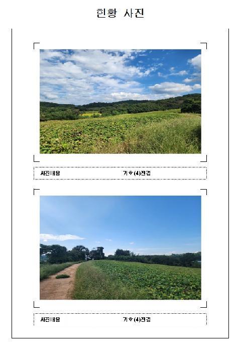 2025타경501 법원경매 사진32 | 전남 영암군 전답 경매