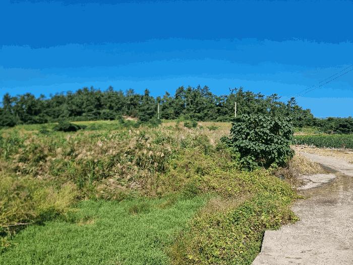 2025타경507 법원경매 사진2 | 전남 신안군 답 경매