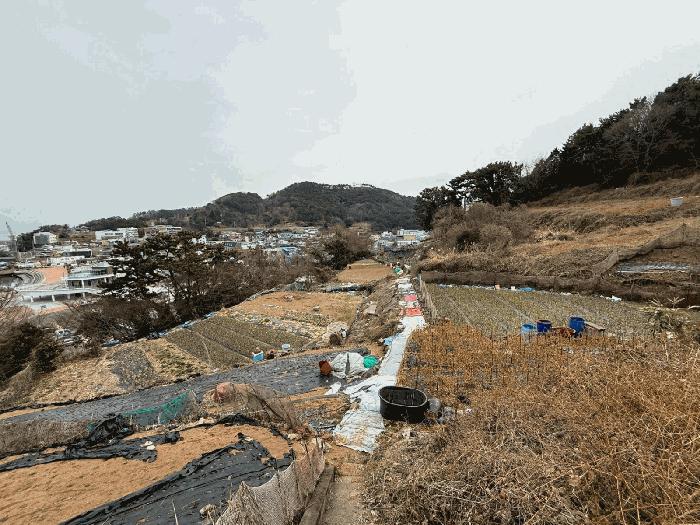 2025타경513 법원경매 사진3 | 경남 남해군 전 경매