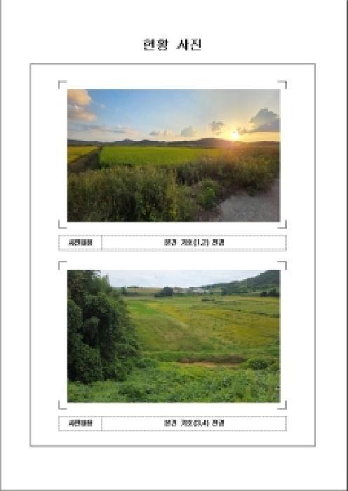 2025타경513 법원경매 사진3 | 전남 무안군 답 경매