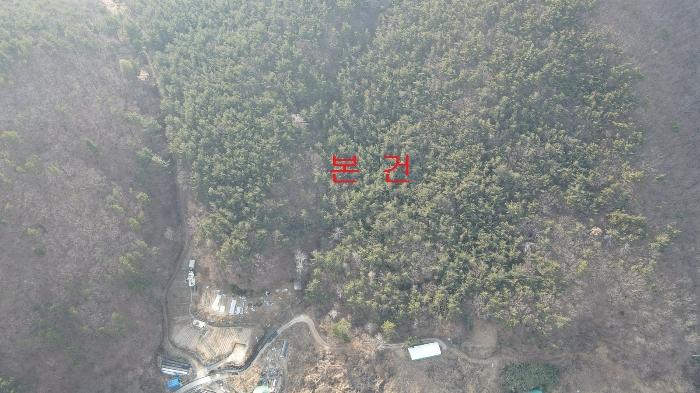 2024타경113672 법원경매 사진2 | 부산 기장군 임야 경매
