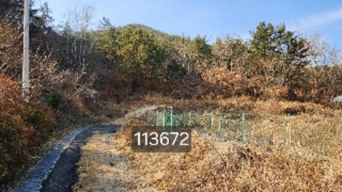 2024타경113672 법원경매 사진3 | 부산 기장군 임야 경매