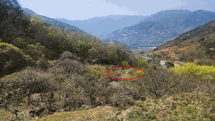 경상남도 하동군 화개면 부춘리 411 법원경매 물건 대표사진