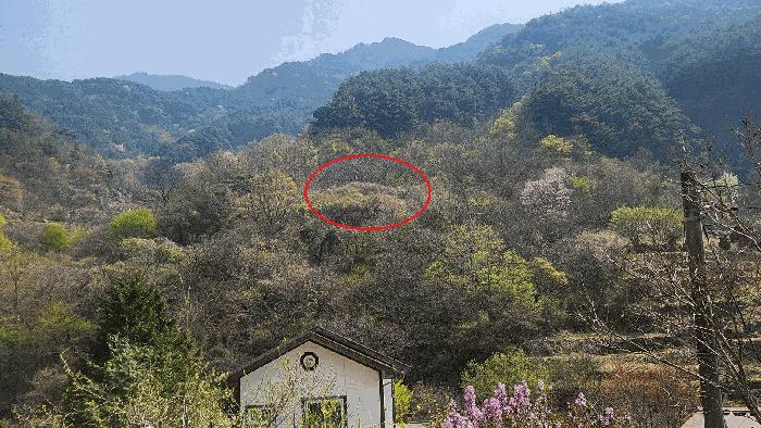 2025타경629 법원경매 사진8 | 경남 하동군 전답 경매