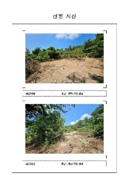 2025타경51366 법원경매 사진5 | 전남 신안군 임야 경매