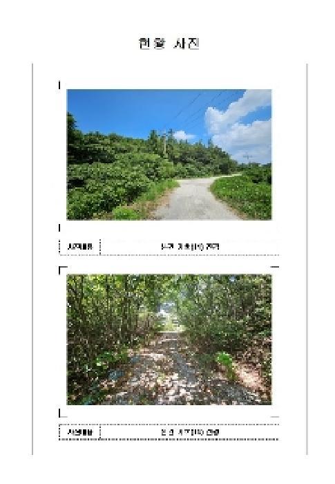 2025타경51366 법원경매 사진7 | 전남 신안군 임야 경매