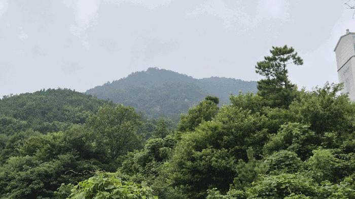 2025타경556 법원경매 사진2 | 경남 거제시 임야 경매