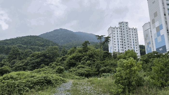 2025타경556 법원경매 사진3 | 경남 거제시 임야 경매