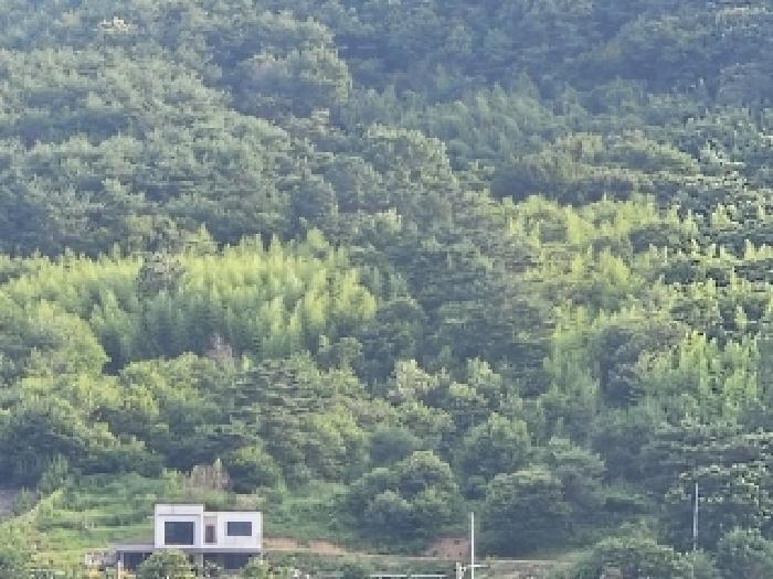 2025타경718 법원경매 사진28 | 경남 하동군 임야 경매