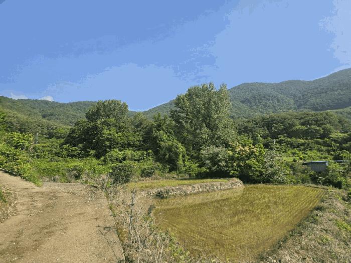 2025타경718 법원경매 사진4 | 경남 하동군 임야 경매