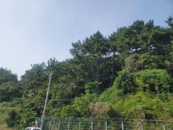2025타경21735 법원경매 사진3 | 경남 통영시 임야 경매