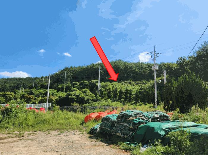 경상남도 고성군 하일면 용태리 산11-5 법원경매 물건 대표사진
