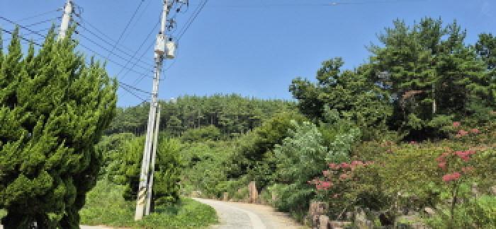 2025타경21783 법원경매 사진5 | 경남 고성군 임야 경매