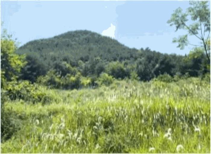 2025타경51569 법원경매 사진3 | 전남 고흥군 전 경매