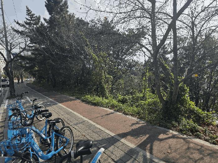 2025타경52164 법원경매 사진2 | 전남 여수시 임야 경매