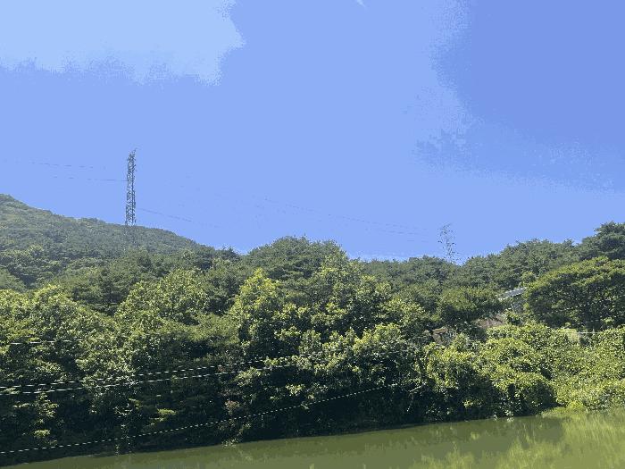 법원경매 2025타경10390 사진2 | 창녕군 성산면 대산리 609-2 임야 경매