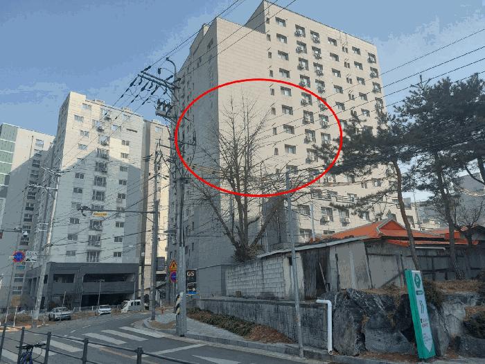 2025타경544 법원경매 사진2 | 경기 평택시 도시형생활주택 경매