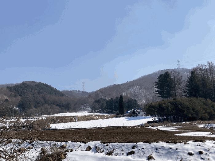법원경매 2025타경30375 사진2 | 평창군 봉평면 진조리 임야 경매