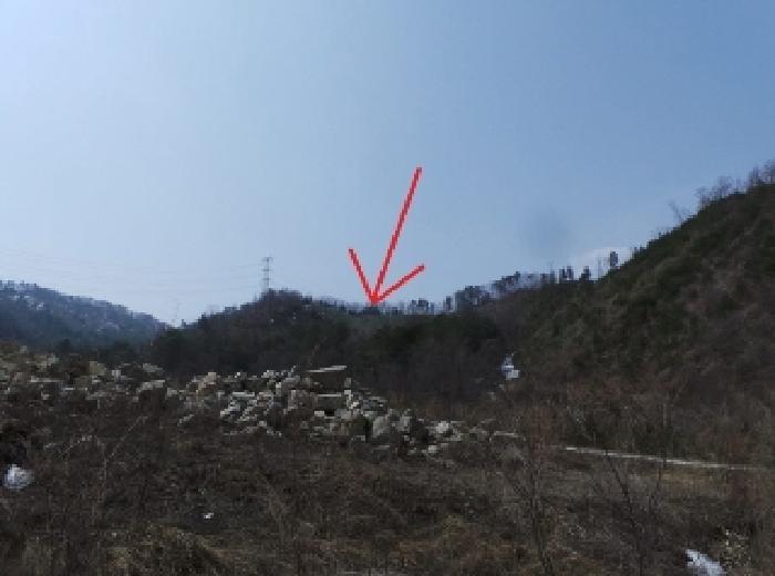 법원경매 2025타경30375 사진3 | 평창군 봉평면 진조리 임야 경매