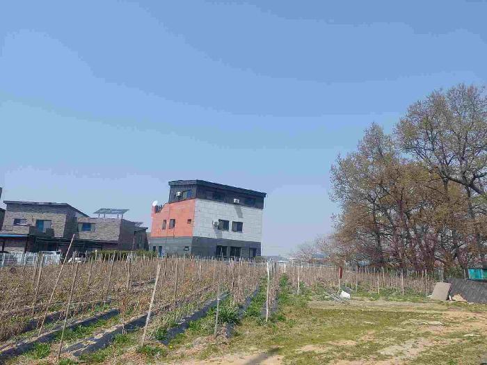 법원경매 2025타경11455 사진4 | 아산시 둔포면 신남리 381-11 전 경매