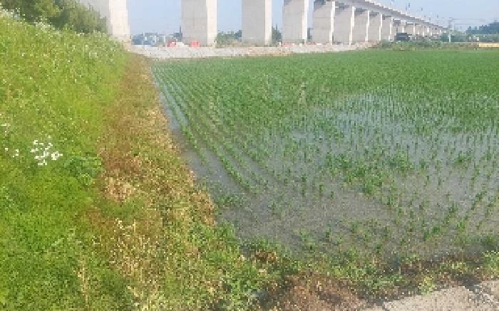 2025타경11819 법원경매 사진12 | 충남 아산시 답 경매