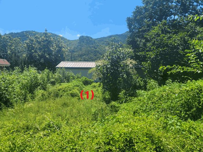 경상북도 칠곡군 지천면 백운리 120-1 법원경매 물건 대표사진