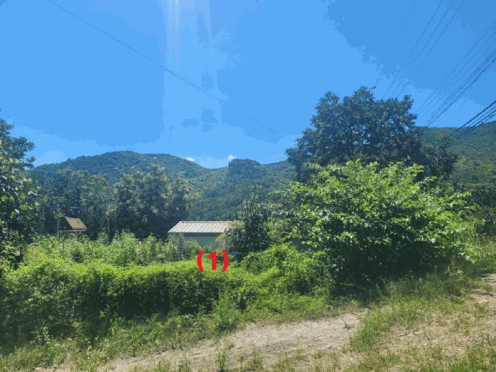 법원경매 2025타경8559 사진3 | 칠곡군 지천면 백운리 120-1 대지 경매