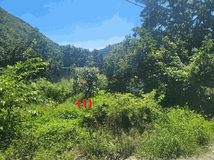 법원경매 2025타경8559 사진9 | 칠곡군 지천면 백운리 120-1 대지 경매
