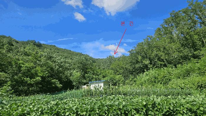 2025타경8560 법원경매 사진2 | 경북 영천시 임야 경매