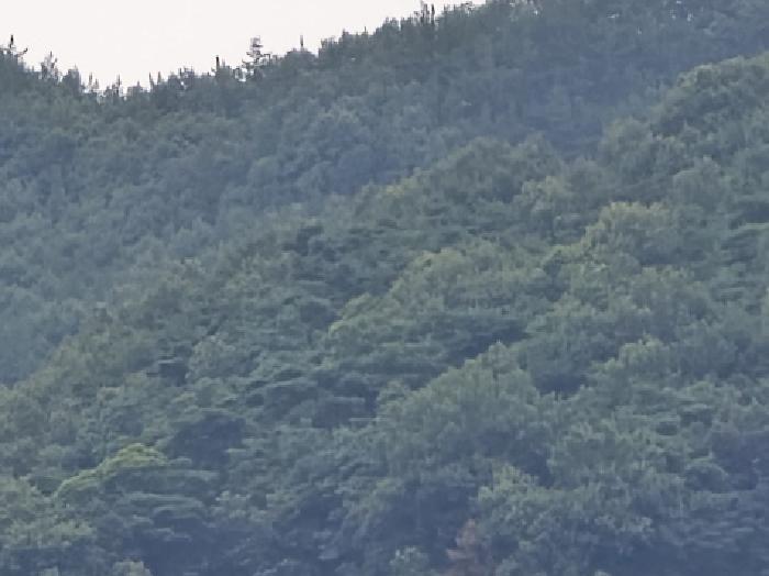 2025타경8560 법원경매 사진4 | 경북 영천시 임야 경매