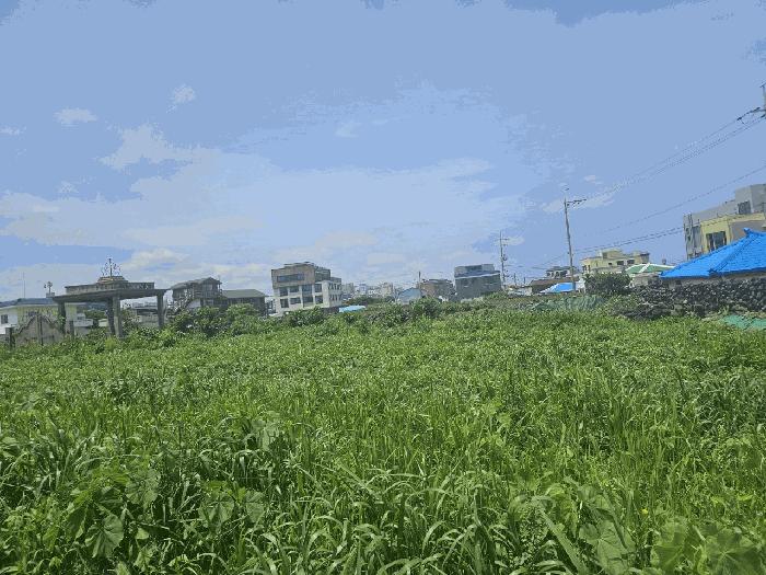 2025타경1425 법원경매 사진2 | 제주 제주시 전 경매