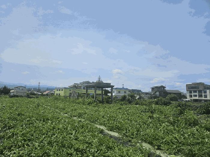 2025타경1425 법원경매 사진3 | 제주 제주시 전 경매