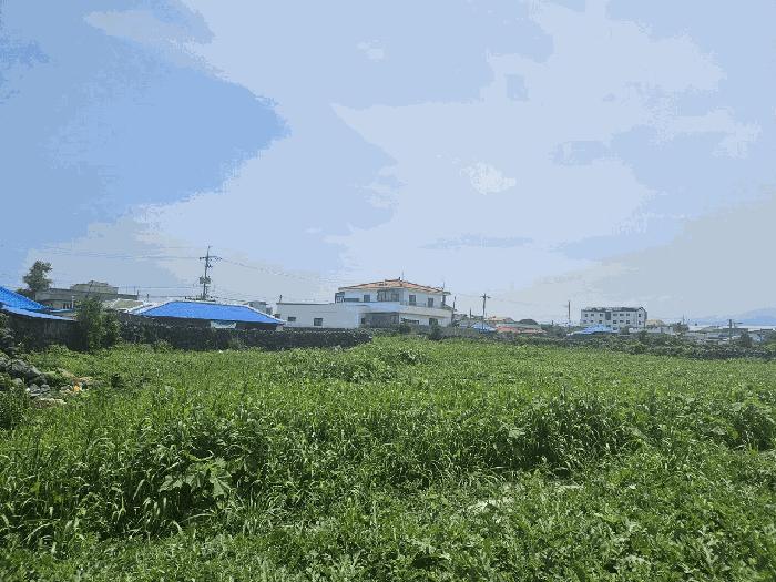 2025타경1425 법원경매 사진5 | 제주 제주시 전 경매