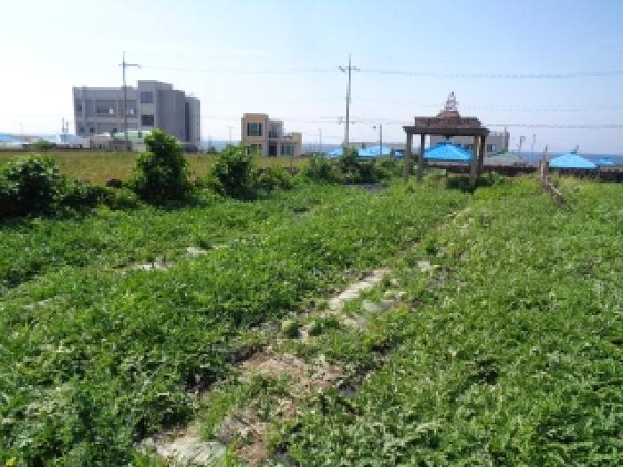 2025타경1425 법원경매 사진9 | 제주 제주시 전 경매