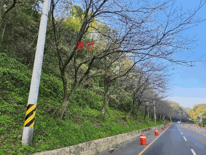 법원경매 2025타경31791 사진3 | 대구 달성군 논공읍 북리 1-19 공장용지 경매