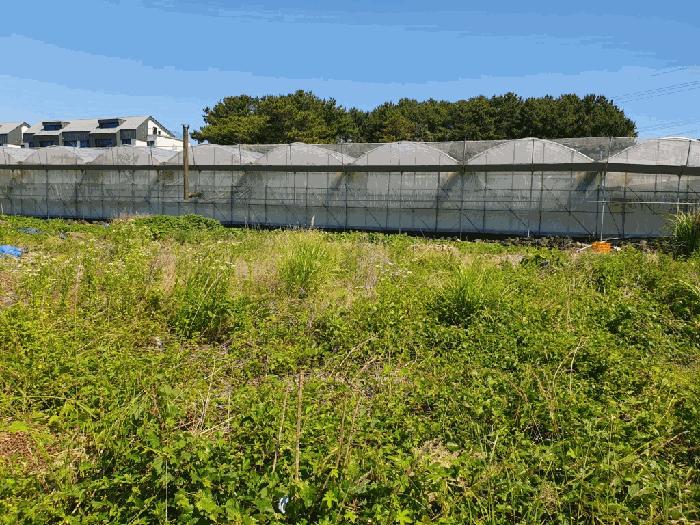 2025타경8040 법원경매 사진5 | 제주 서귀포시 전 경매