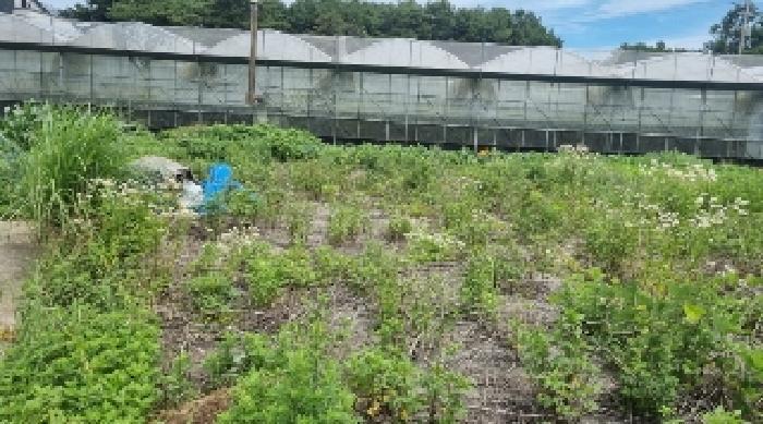2025타경8040 법원경매 사진7 | 제주 서귀포시 전 경매