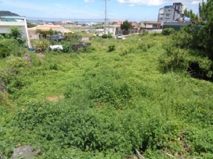 2025타경8314 법원경매 사진11 | 제주 제주시 전 경매