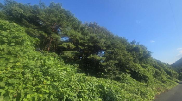 울산광역시 울주군 두동면 구미리 284-93 법원경매 물건 대표사진