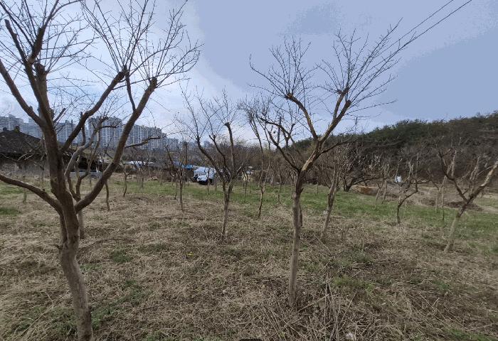 법원경매 2025타경1032 사진2 | 울산 북구 달천동 65-5 전 경매