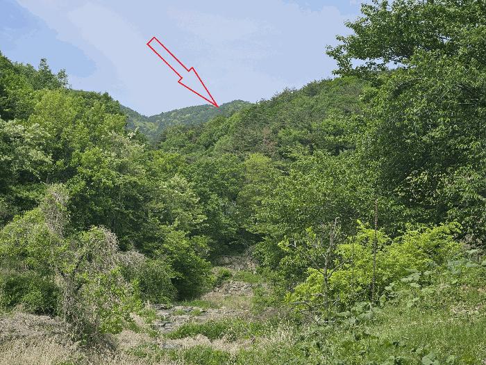 2025타경1100 법원경매 사진4 | 울산 울주군 임야 경매