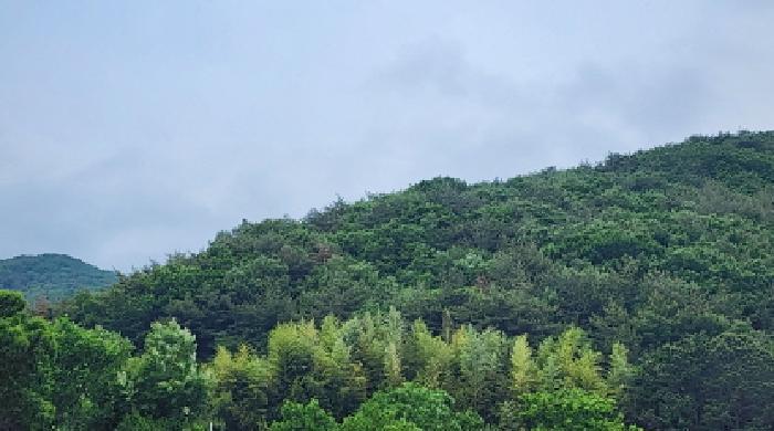 2025타경1100 법원경매 사진5 | 울산 울주군 임야 경매