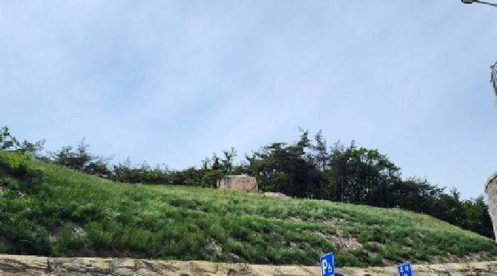 2025타경11660 법원경매 사진3 | 경남 양산시 임야 경매