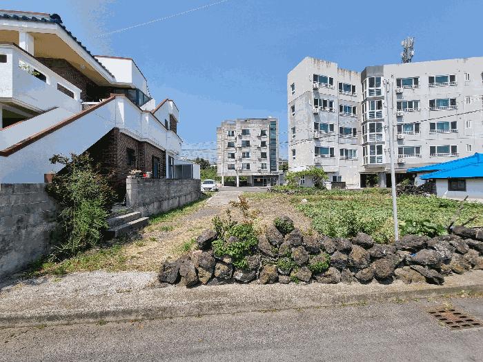 2025타경1202 법원경매 사진8 | 제주 서귀포시 임야 경매