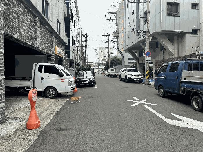 2025타경1286 법원경매 사진18 | 제주 서귀포시 오피스텔 경매