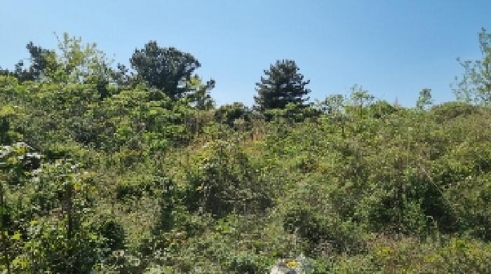 2025타경7731 법원경매 사진13 | 제주 제주시 전 경매
